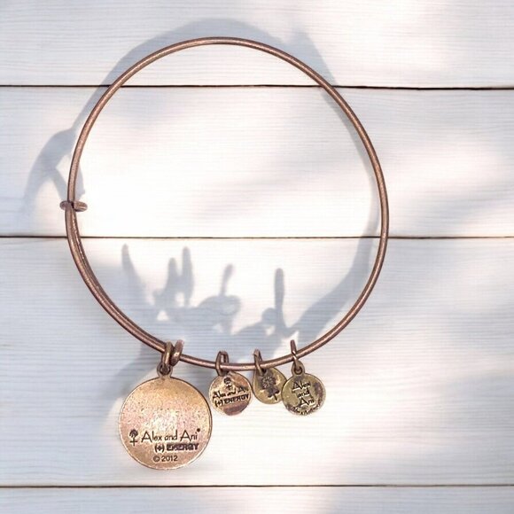 Alex And Ani Everything Happens For A Reason Bangle Bracelet Adjustable - Picture 2 of 2